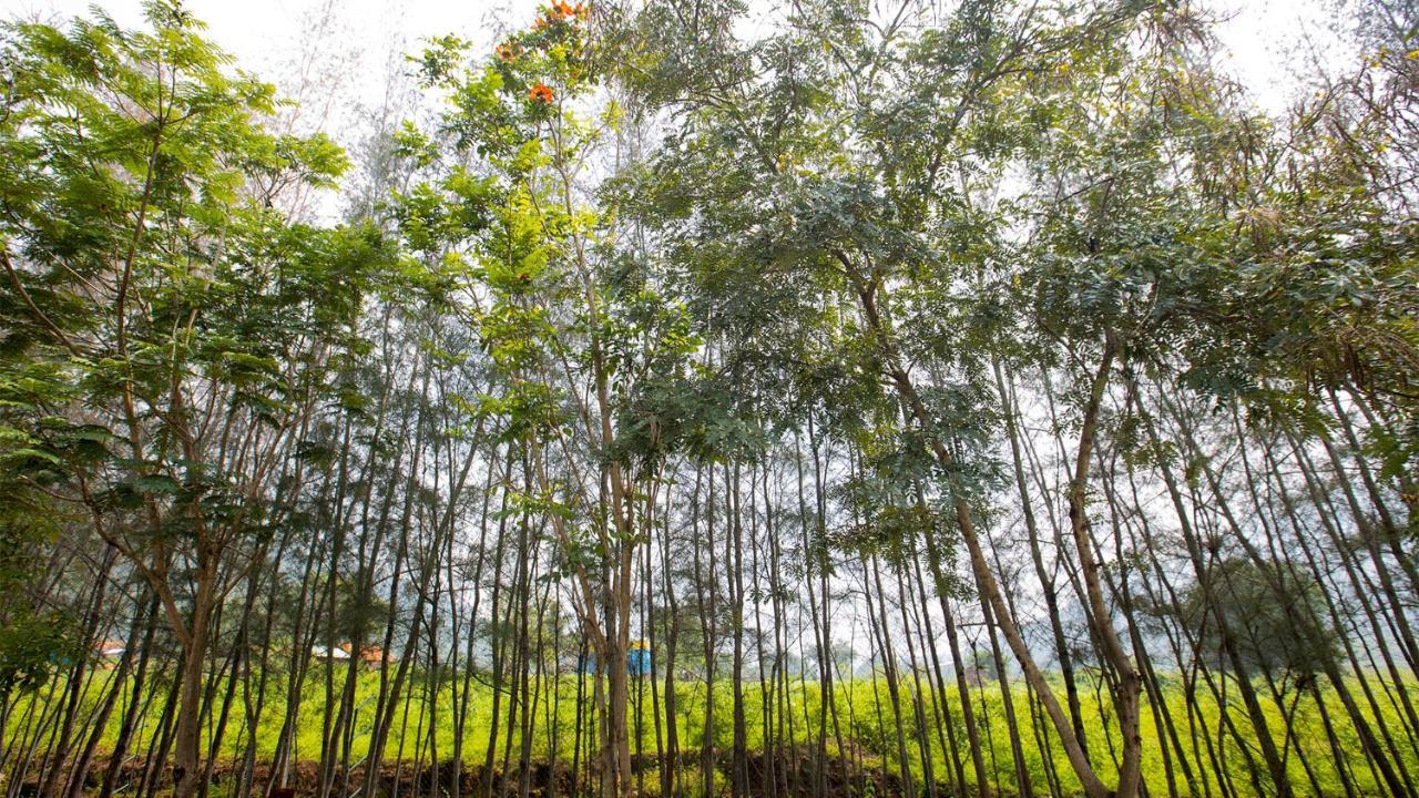 Aara Jungle Resort コインバトール エクステリア 写真